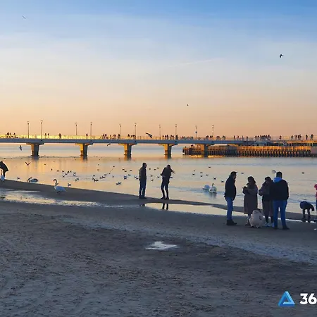 365pam - Gold Kolobrzeg