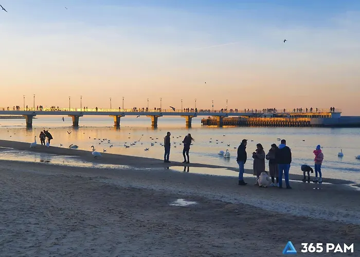 365pam - Gold Kolobrzeg